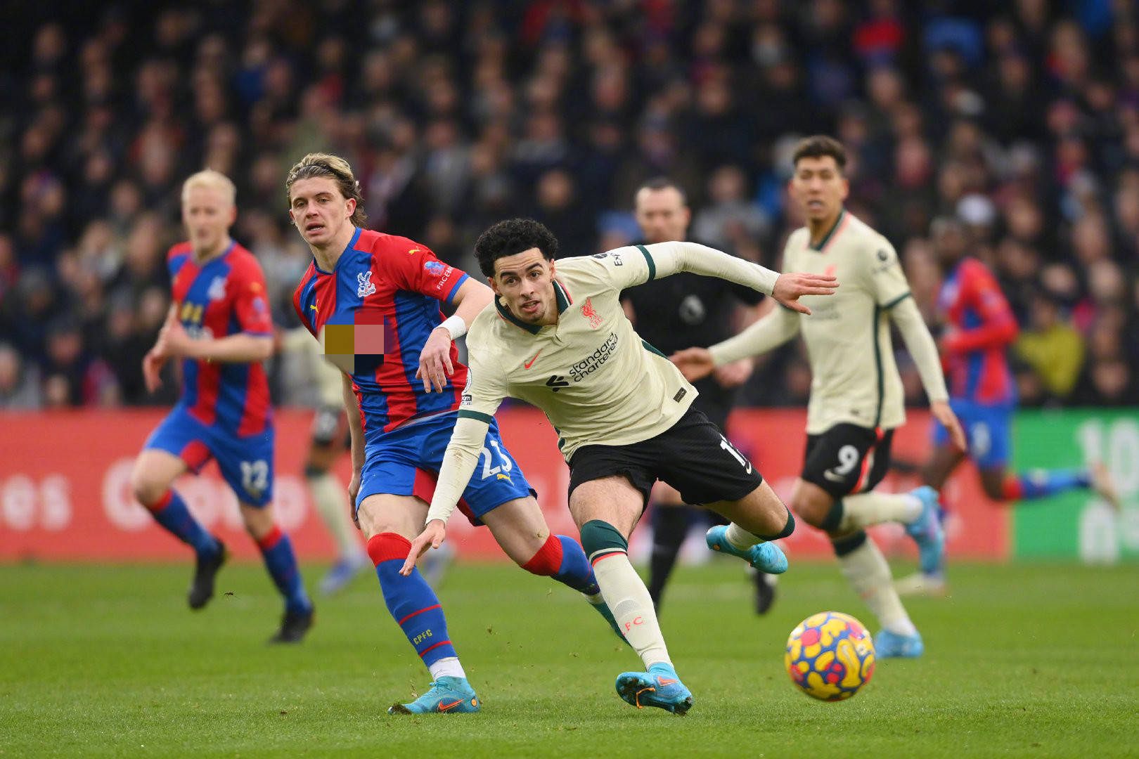 京都不死鸟 京都不死鸟